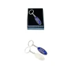 Breloc Ford, lant metalic, oferit in cutie  Magrot 20317