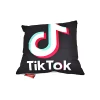 Perna imprimeu TikTok, burdiuf si fata de perna detasdabile 45 x 45 cm, Magrot 20163